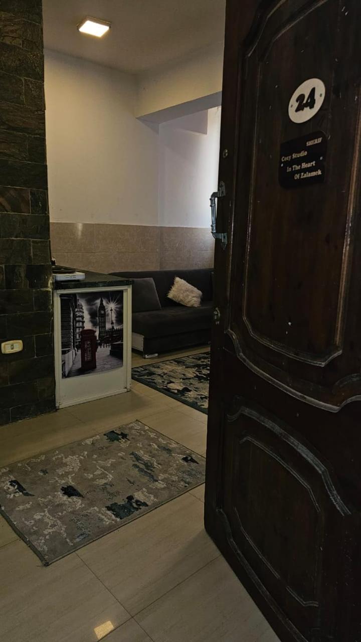 Apartment Elegant In Zamalek