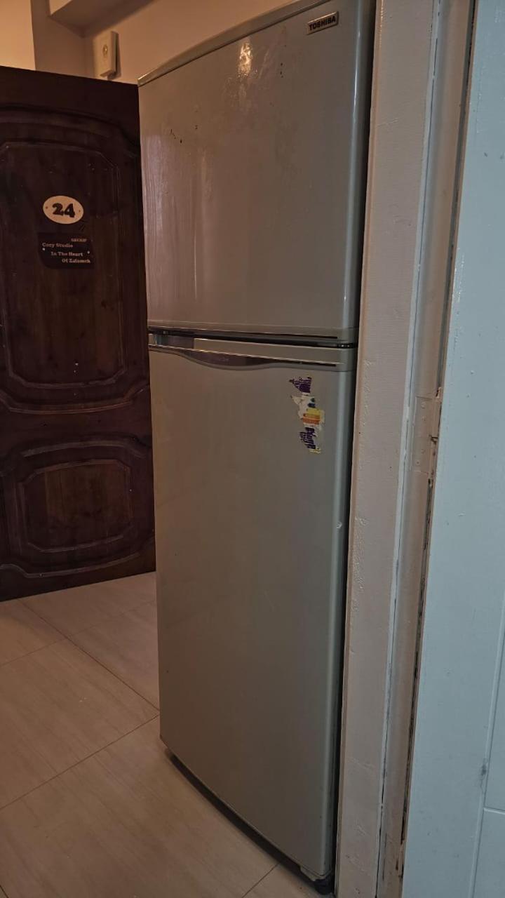 Apartment Elegant In Zamalek Cairo